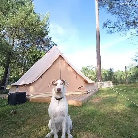 Glamping Tipi Coloré à La Ferme à La Le Porge